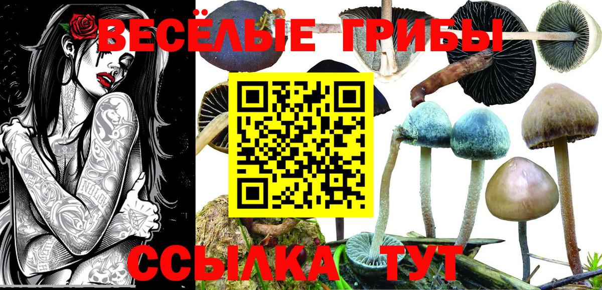 Ливны  Галлюциногенные грибы мухоморы  Вход с VPN 
